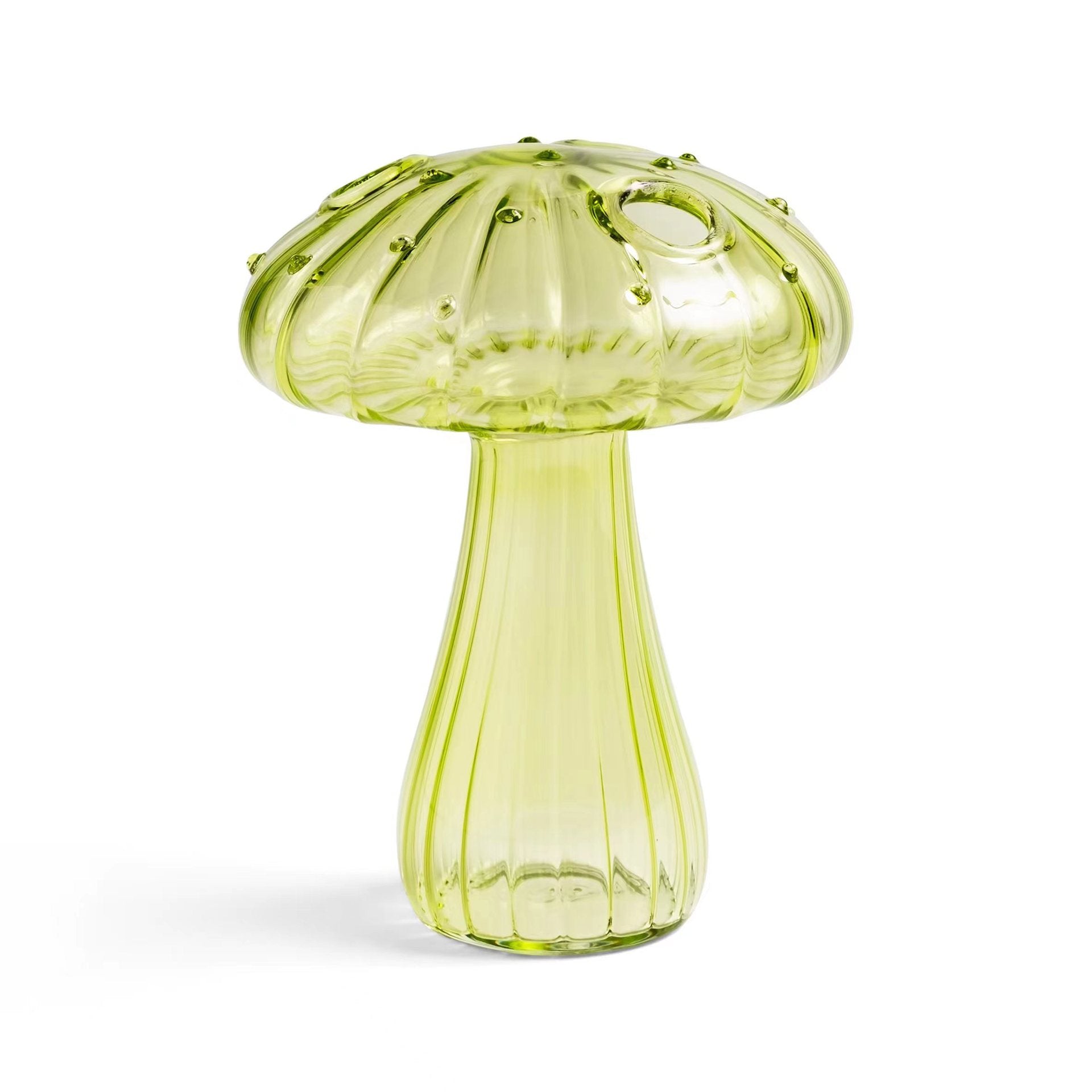 Vase en verre pour champignons, vase d'aromathérapie, arrangement floral hydroponique, décoration pour la maison, vase créatif en verre