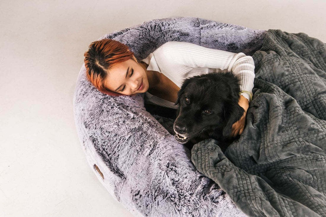 Lit pour chien pour humains Lit portable pour animaux de compagnie Lit géant pour chien Lit humain Lit pour chat Lit pour chien