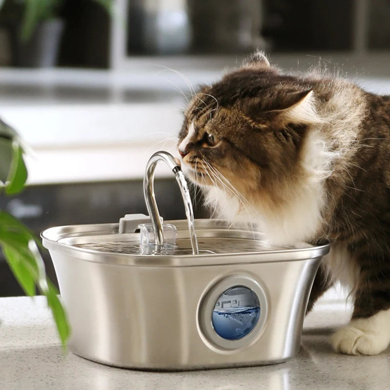 Fontaine à eau pour chat 3,2 L avec fenêtre de niveau d'eau, fontaine à eau automatique en acier inoxydable pour animaux de compagnie, distributeur d'eau pour chien, USB durable
