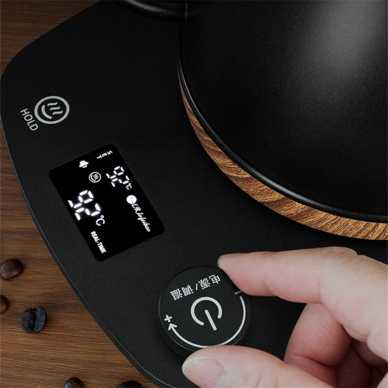 Ensemble de cafetière à main en acier inoxydable avec contrôle de la température