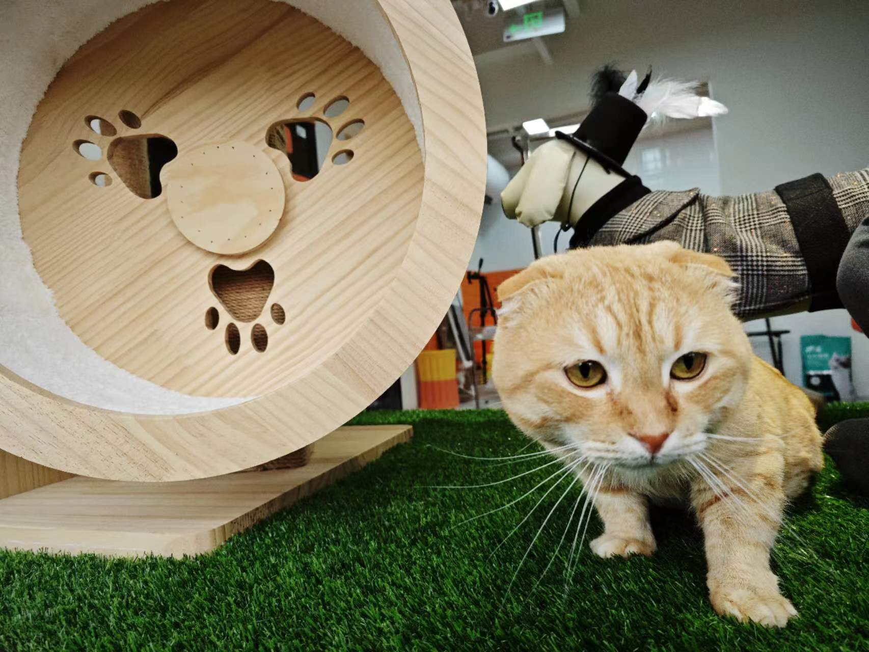 Tapis de course en gazon artificiel d'extérieur 5FTX8FT, rouleau de gazon synthétique épais et réaliste avec une hauteur de poils de 1,38 pouces