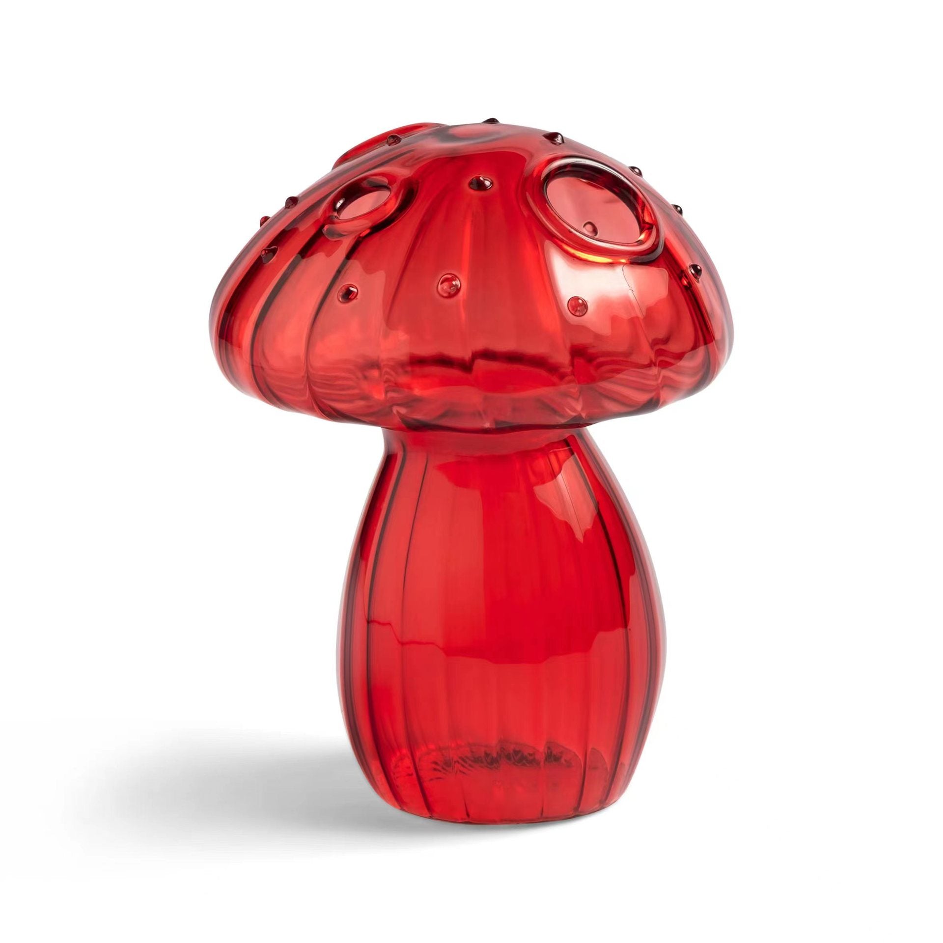 Vase en verre pour champignons, vase d'aromathérapie, arrangement floral hydroponique, décoration pour la maison, vase créatif en verre