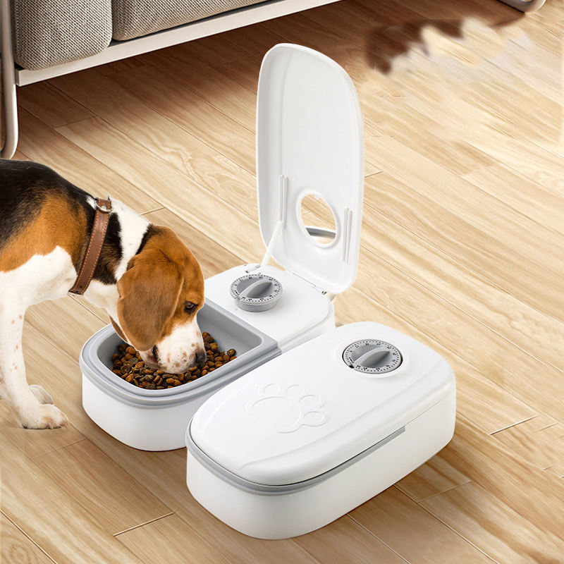 Distributeur automatique de nourriture pour chat amovible et facile à nettoyer avec alimentation chronométrée et quantitative