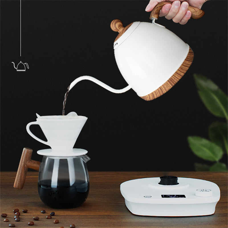 Ensemble de cafetière à main en acier inoxydable avec contrôle de la température