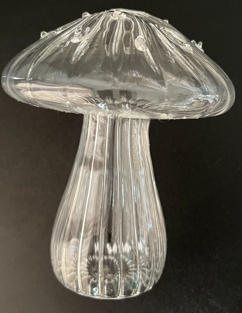 Vase en verre pour champignons, vase d'aromathérapie, arrangement floral hydroponique, décoration pour la maison, vase créatif en verre