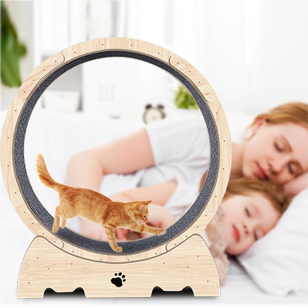 Roue d'exercice pour chats d'intérieur, roue de course pour chats avec tapis, 94 cm, couleur bois naturel