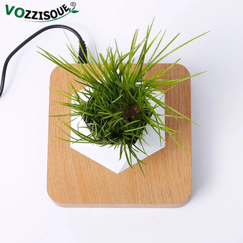 Pot de bonsaï à lévitation magnétique, suspension, décoration de bureau, offre spéciale