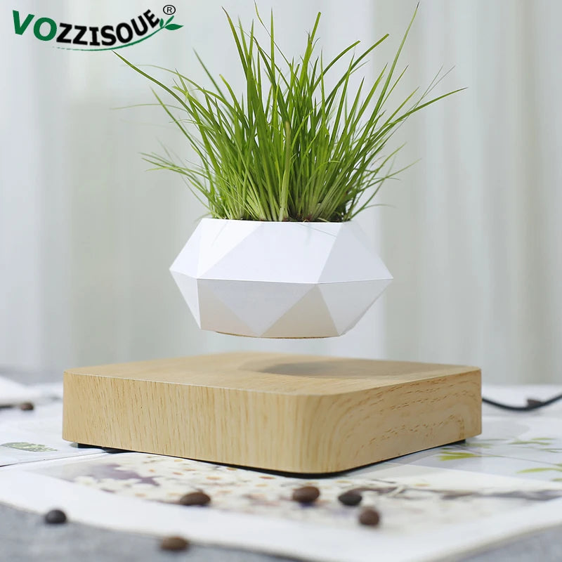 Pot de bonsaï à lévitation magnétique, suspension, décoration de bureau, offre spéciale