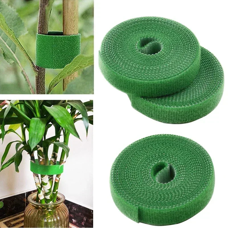 Lot de 3 attaches pour plantes en nylon de 2 m, pour la maison, le jardin, en forme de plante, avec crochet et boucle, en bambou, accessoires de support