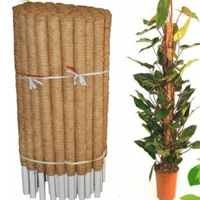 Totem grimpant pour plantes grimpantes d'intérieur, support pour plantes grimpantes, tuteur en mousse de sphaigne, fibre de coco, cadre pour plantes grimpantes, fournitures de jardinage d'intérieur