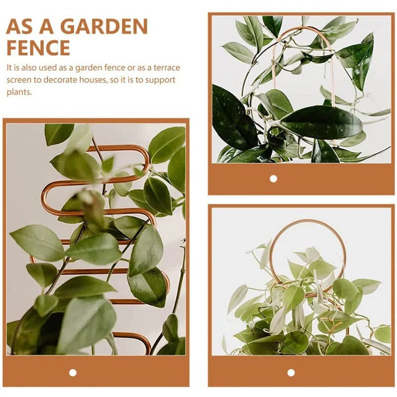 Metal Plant Climbing Frame Indoor Flower Pot Vine Trellis Holder Creative Iron Plants Climbing Support Stake Rattan Stand Rack