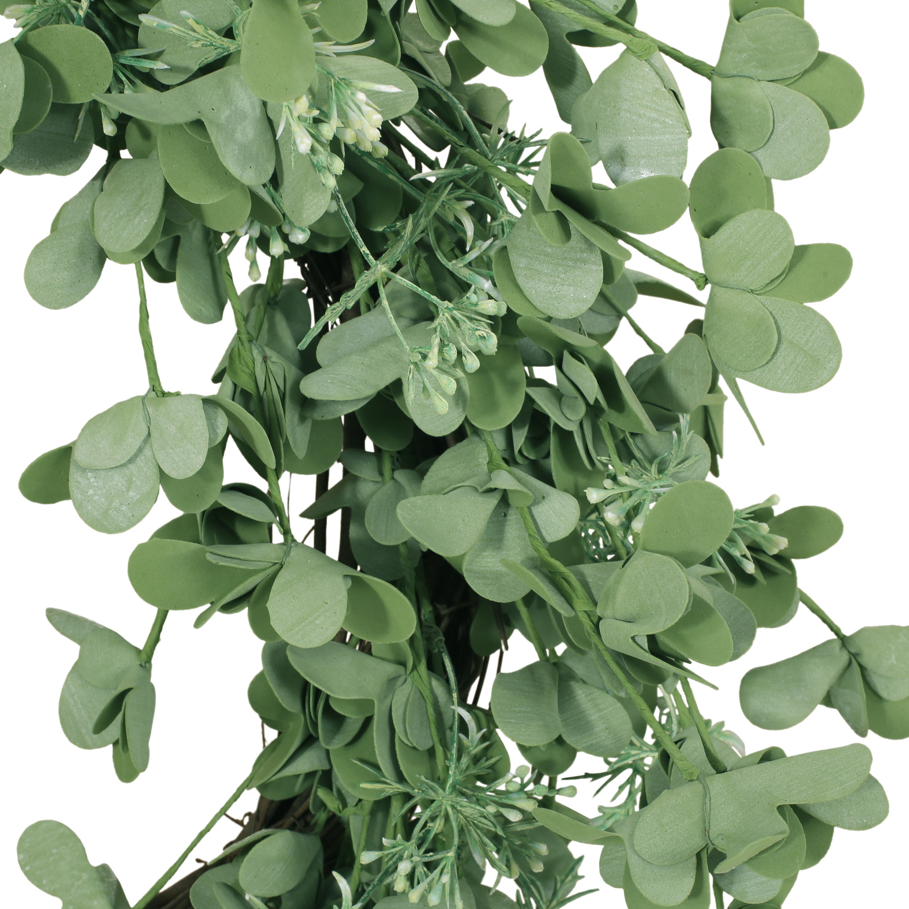 27" OXALIS CORNICULATA WREATH