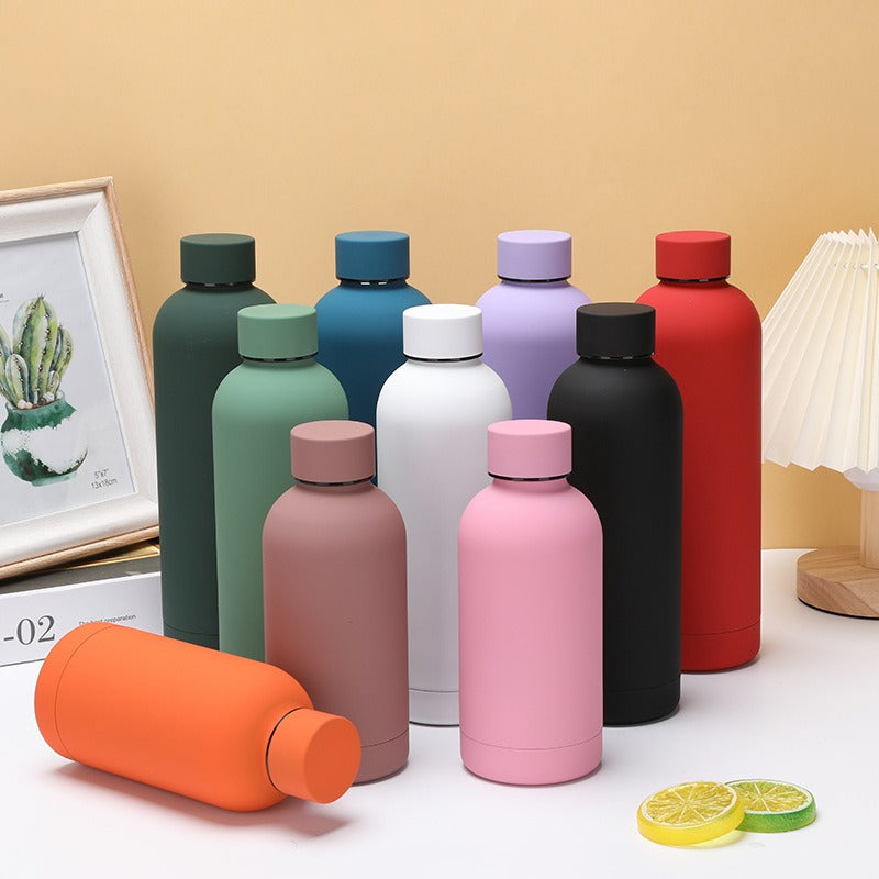 Insulated steel water bottle
