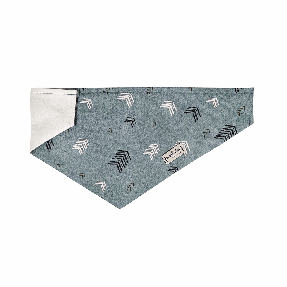 Sage chevron dog bandana