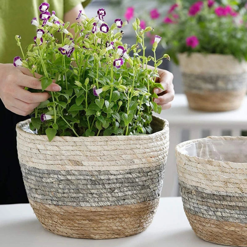 Plant Potted Round Flower Pot Basket Hand Woven Plant Basket Indoor Planters