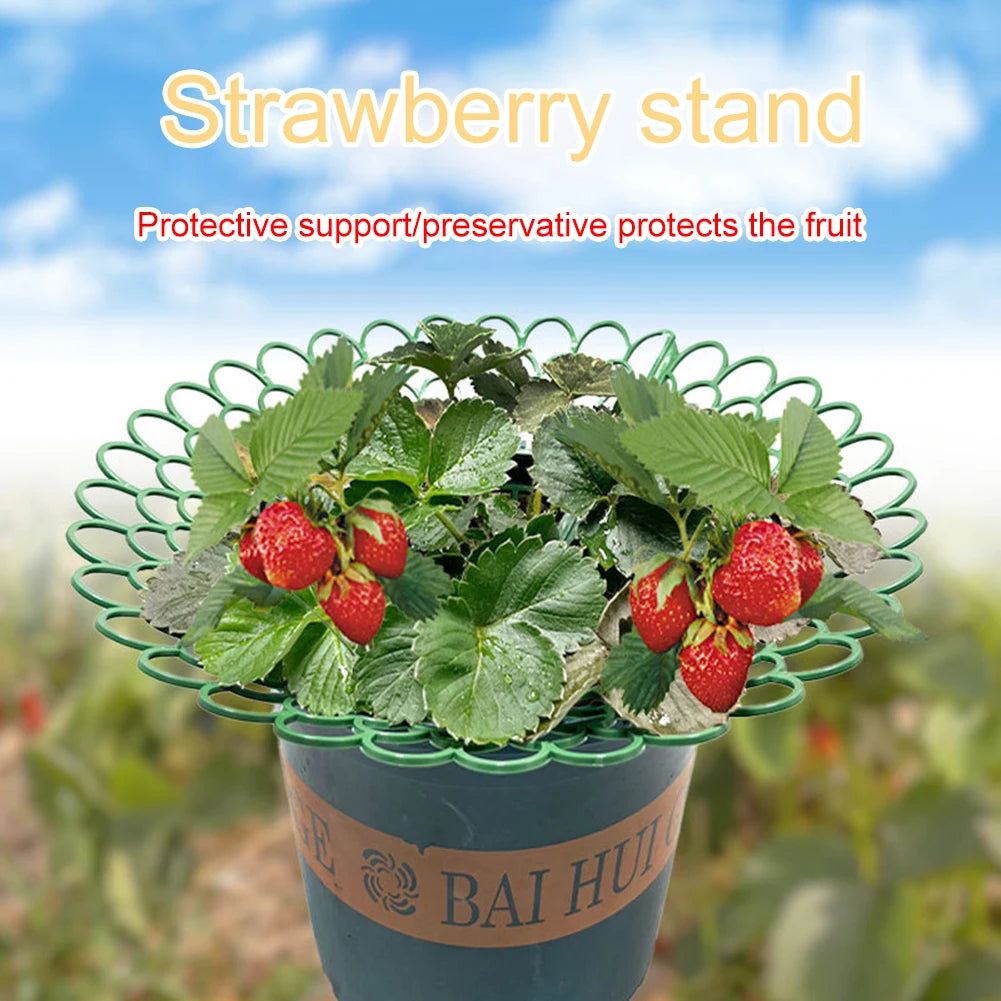 5/10PCS Strawberry Supports With 3 Sturdy Support Feet Keeping Plant Fruit Stand Vegetable Growing Rack Garden Tools