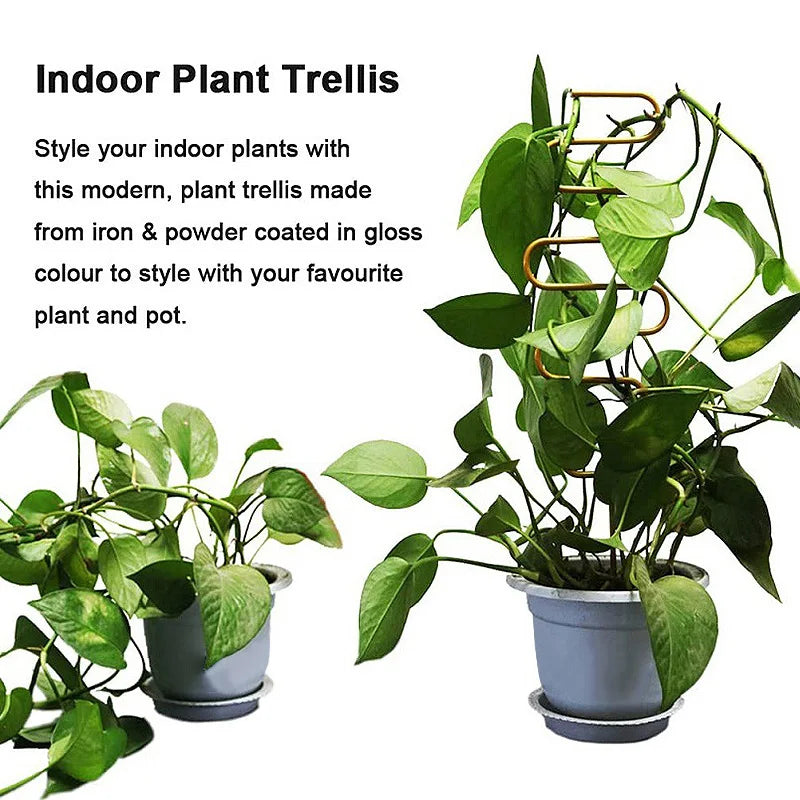 Metal Plant Climbing Frame Indoor Flower Pot Vine Trellis Holder Creative Iron Plants Climbing Support Stake Rattan Stand Rack