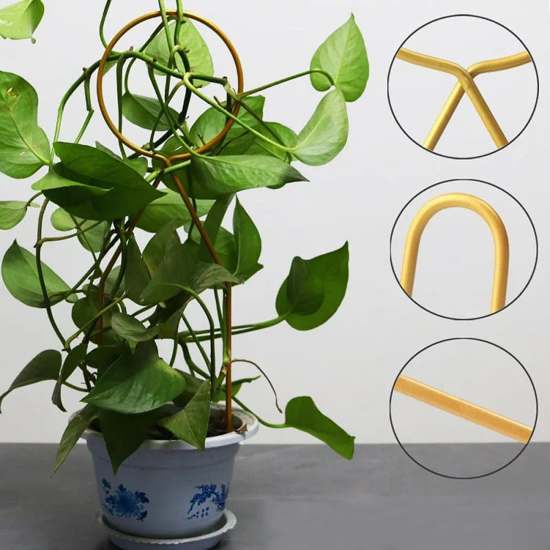 Metal Plant Climbing Frame Indoor Flower Pot Vine Trellis Holder Creative Iron Plants Climbing Support Stake Rattan Stand Rack