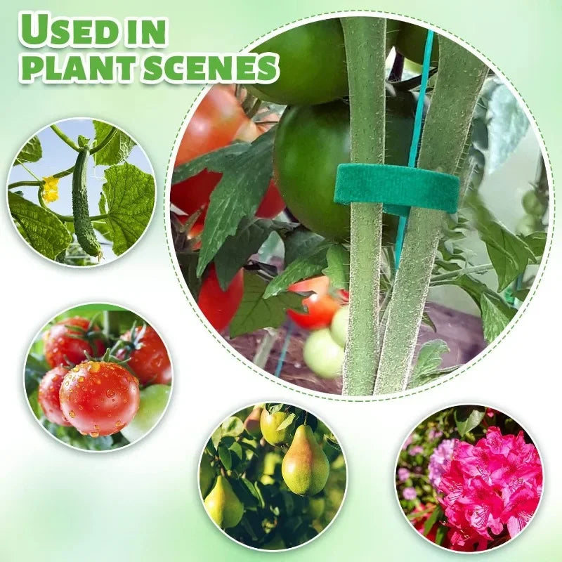 20/2m Nylon Plant Ties Resealable Cable Ties Self Adhesive Plant Fastener Tape For Support Grape Vines Tomato Garden Supplies